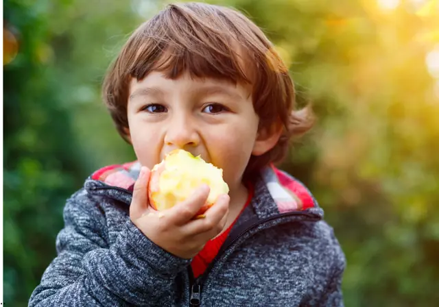 Lo que comes moldea cómo piensas. mejorar la alimentacion