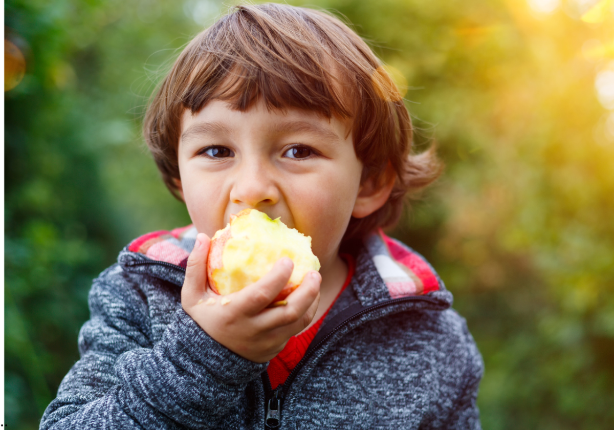 Lo que comes moldea cómo piensas. mejorar la alimentacion