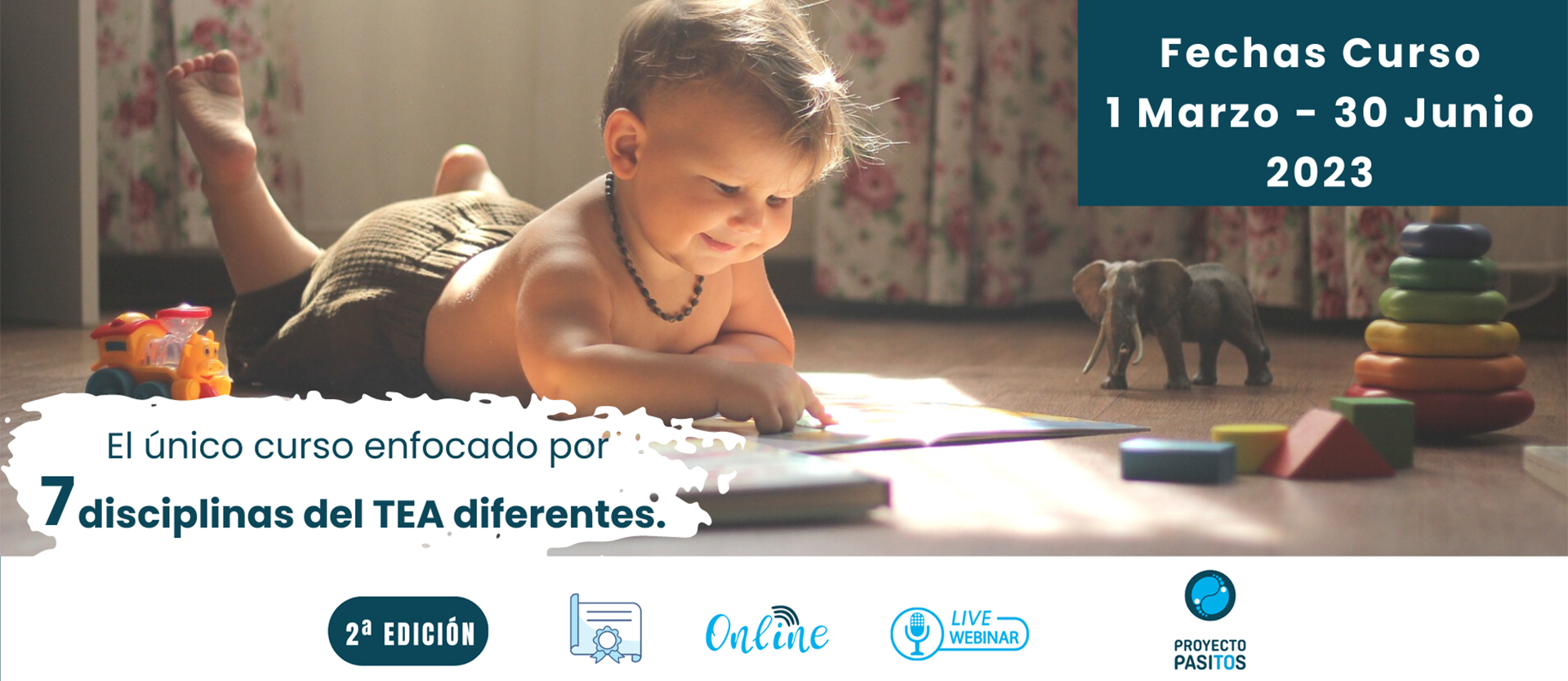 7 disciplinas del TEA diferentes