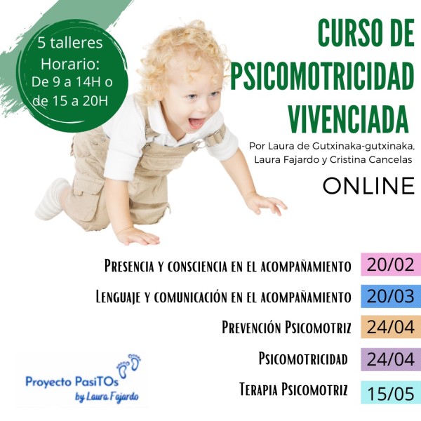 Curso de Psicomotricidad vivenciada. Conceptos fundamentales