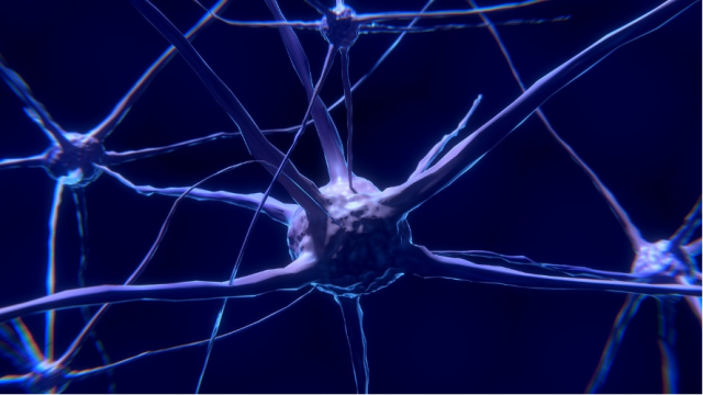 imagen representando neuronas del cerebro
