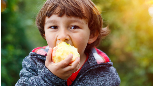 Lo que comes moldea cómo piensas. mejorar la alimentacion